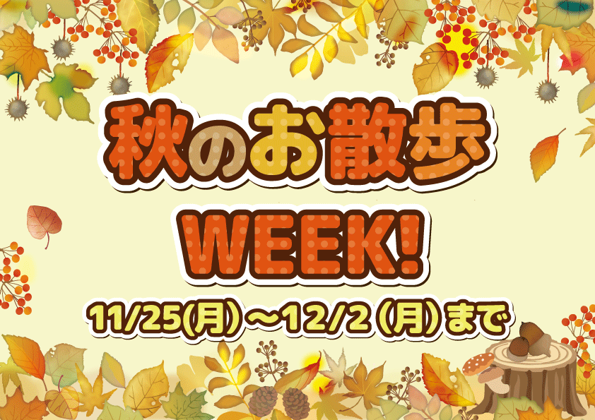 秋のお散歩WEEK！！