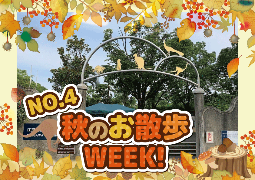 お散歩ｗeek4日目（北砂）