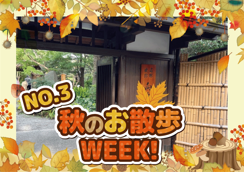 お散歩week3日目（小名木川）